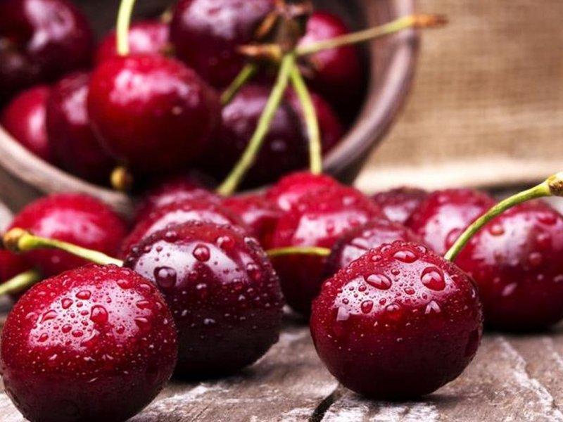 Вишня купить саженцы из питомника в Балахне