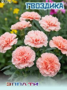 Гвоздика Эппл Ти