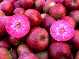 Яблоня "ВИНЕРПО"